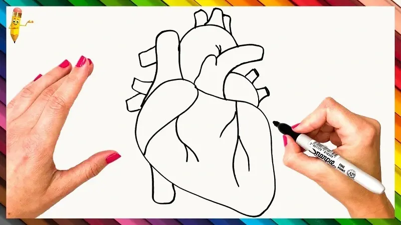 Drawing Your Heart: Unveiling the Journey of Capturing Emotion